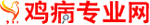 ����רҵ��