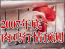 2007����⼦����Ԥ��