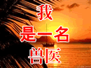 ����һ����ҽ