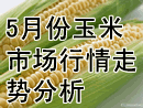 5月份玉米市场行情走势分析