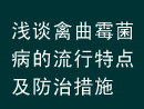 ǳ̸����ù�����������ص㼰���δ�ʩ
