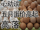 心动:再谈5月蛋价高起高落