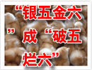 “银五金六”成“破五烂六”