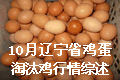 10月辽宁省鸡蛋、淘汰鸡行情综述