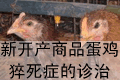 新开产商品蛋鸡猝死症的诊治