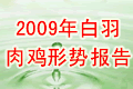 2009年白羽肉鸡形势报告
