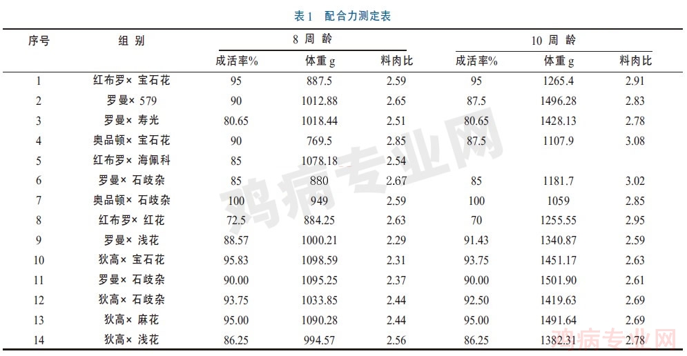 "817"肉鸡生产现状及存在的问题