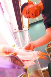 冷鲜鸡新鲜“入局”,你能接受吗