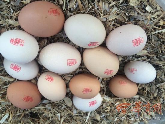 6月28日早8时20分，在商洛城区桂园巷口，王生成照例坐在凳子上卖鸡蛋，他身前竹筐子里的鸡蛋蛋壳上，都有红色的“生成散养”字样。有好奇的顾客询问为啥鸡蛋上还有红字，王生成笑着说，这是他的私章，是为了保证鸡蛋质量。