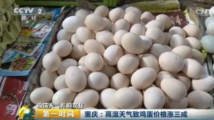 极端天气致使鸡蛋价格涨三成，一斤飙到5块钱