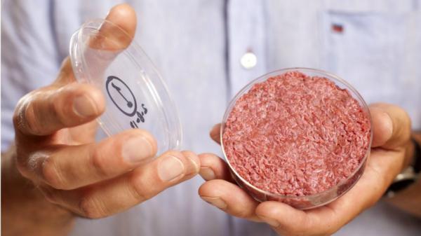 实验室培植肉类5年后可以大规模上市了，你敢吃吗