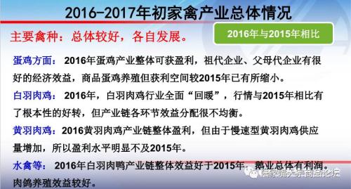 全国蛋鸡生产情况与趋势分析