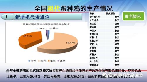 全国蛋鸡生产情况与趋势分析