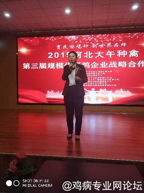 大午集团公司总经理刘平在做总结发言