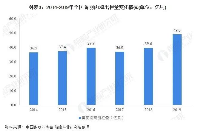 2025年养殖业现状与发展趋势分析