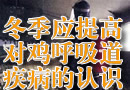 ����Ӧ��߶Լ���������������ʶ