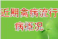 �����ݲ����в��ſ�