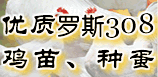 贾氏禽业