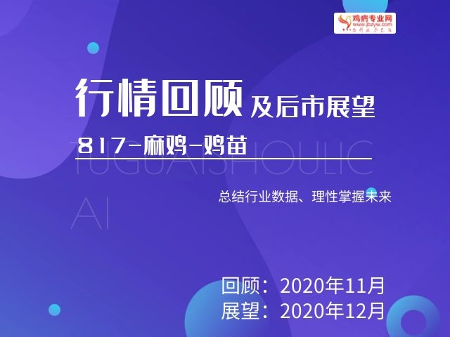 2020年817-麻鸡-成鸡-鸡苗11月份行情回顾与12月份后市展望
