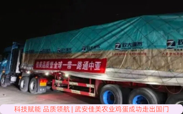 科技赋能 武安佳美农业鸡蛋成功走出国门科技赋能