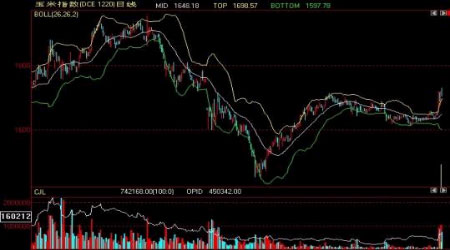 玉米行情今日玉米分析 10391463V-1.jpg