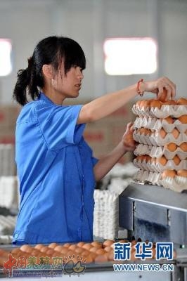 6月份以来全国鸡蛋价格涨势趋缓
