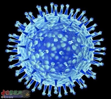科学家培育的致命性h5n1型病毒变异体，能够通过咳嗽和打喷嚏传播