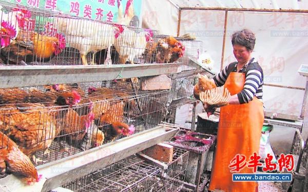 5月24日,李女士的杀鸡摊重新开张。