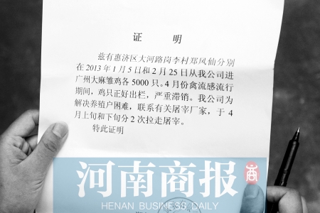 禽流感期间，成鸡实在卖不出去，只好便宜找人处理