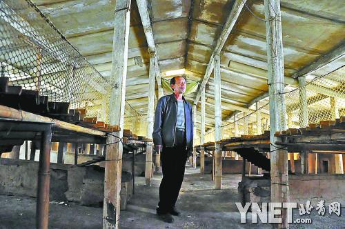 翟秀臣孤独地站在空荡荡的鸡棚里