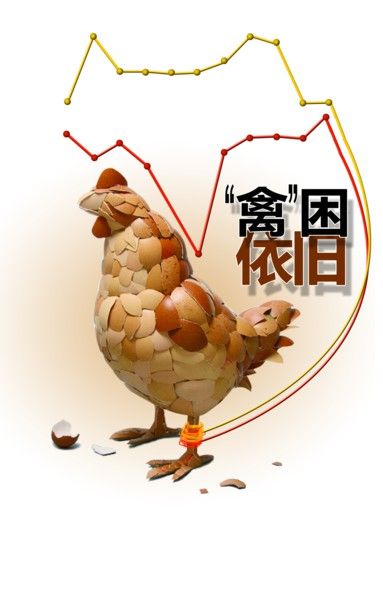 点击查看原图
