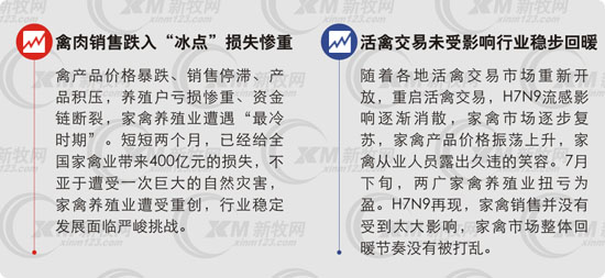 家禽业损失惨重
