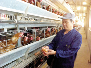 打造杭州禽蛋业“航母”,袁坤生信心满满