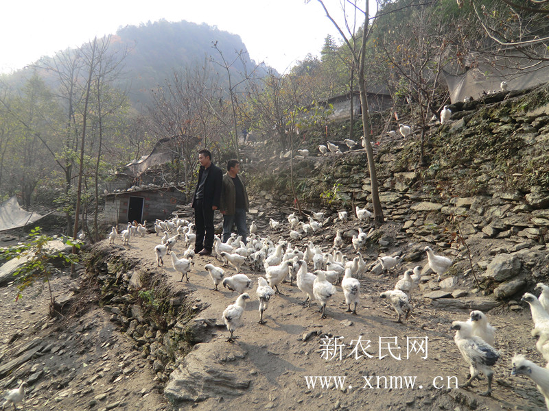 CIMG1167 - 复件.JPG