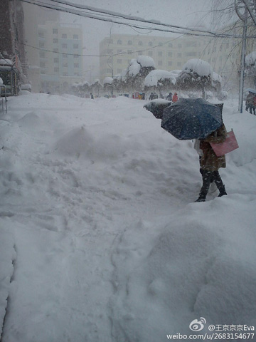 暴雪再袭黑龙江 哈尔滨市内汽车单双号限行
