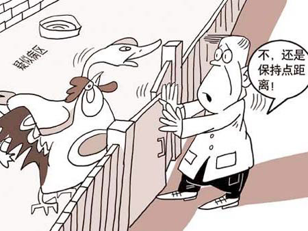 远离禽鸟（图片来源于百度搜索）
