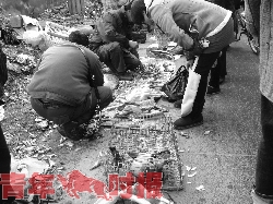 禁令之下 露天农贸市场30余只活禽两小时内售罄