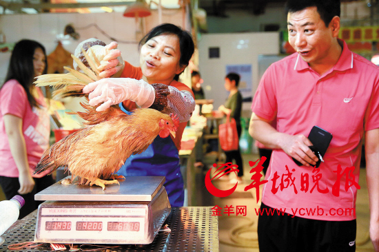 活鸡将停售老广抢货忙今起广州82家肉菜市场无活鸡卖
