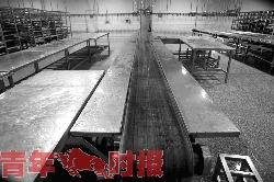 杭州全程冷鲜的鸡鸭6月初上市 