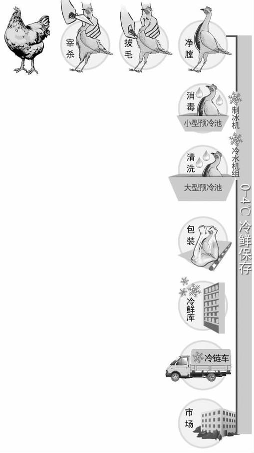 杭州全程冷鲜的鸡鸭6月初上市 