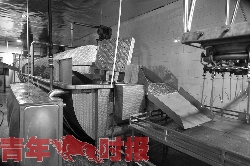 杭州全程冷鲜的鸡鸭6月初上市 