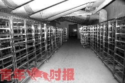 杭州全程冷鲜的鸡鸭6月初上市 