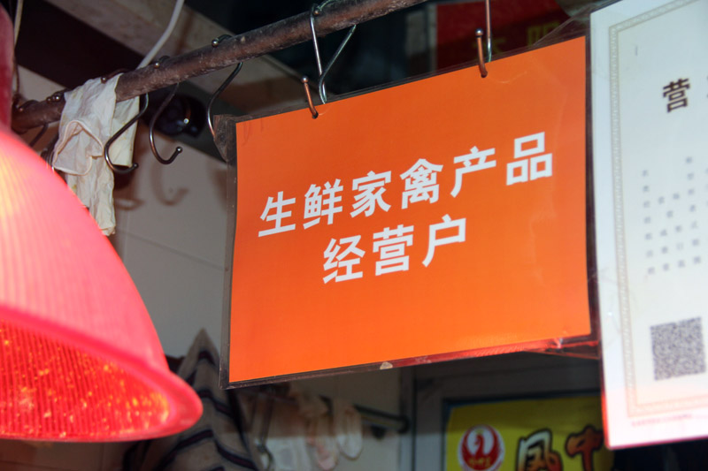 广州“冰鲜鸡”试点档主：“走鬼”影响大 希望政府严管【2】