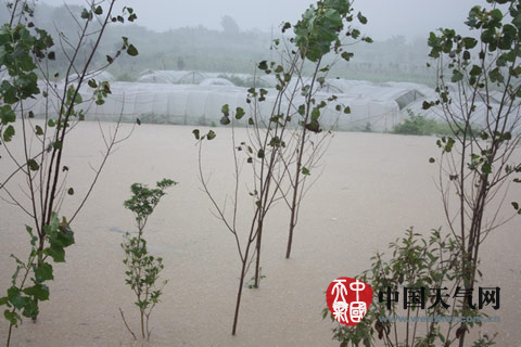 “麦德姆”最北波及吉林 山东半岛警惕旱转涝