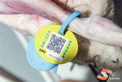 二维码脚环