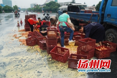 商贩请了几位工人捡拾好蛋。惠宇摄
