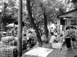 在西村肉菜市场附近，有走鬼档在向路过的行人销售活鸡。信息时报记者 陈文杰 摄