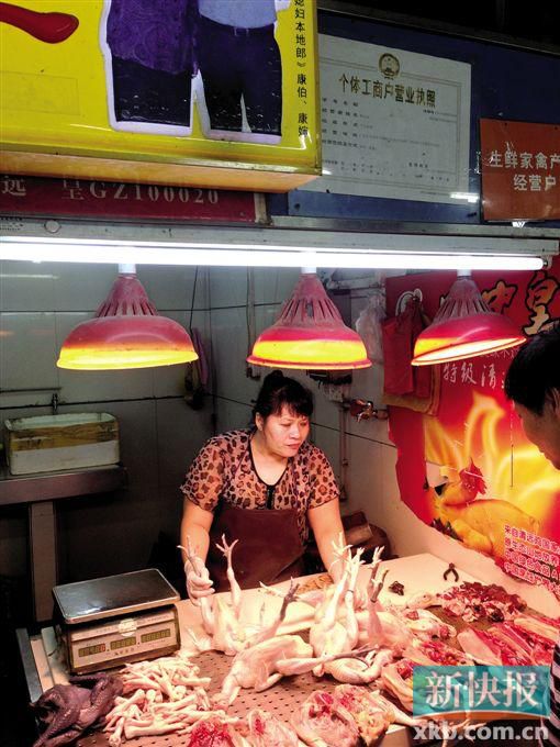 试点4个半月近尾声 冰鲜鸡生意依然冷清