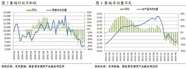 【刘佳伟(饲料养殖组)】供应仍偏紧 鸡蛋看涨预期渐浓