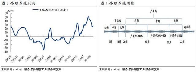 【刘佳伟(饲料养殖组)】供应仍偏紧 鸡蛋看涨预期渐浓